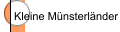 Kleine Münsterländer