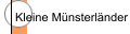 Kleine Münsterländer